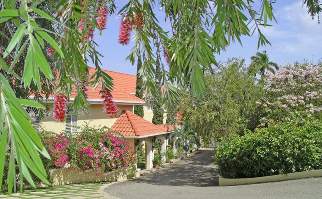 Polkerris Bed & Breakfast Μοντέγκο Μπέυ Εξωτερικό φωτογραφία