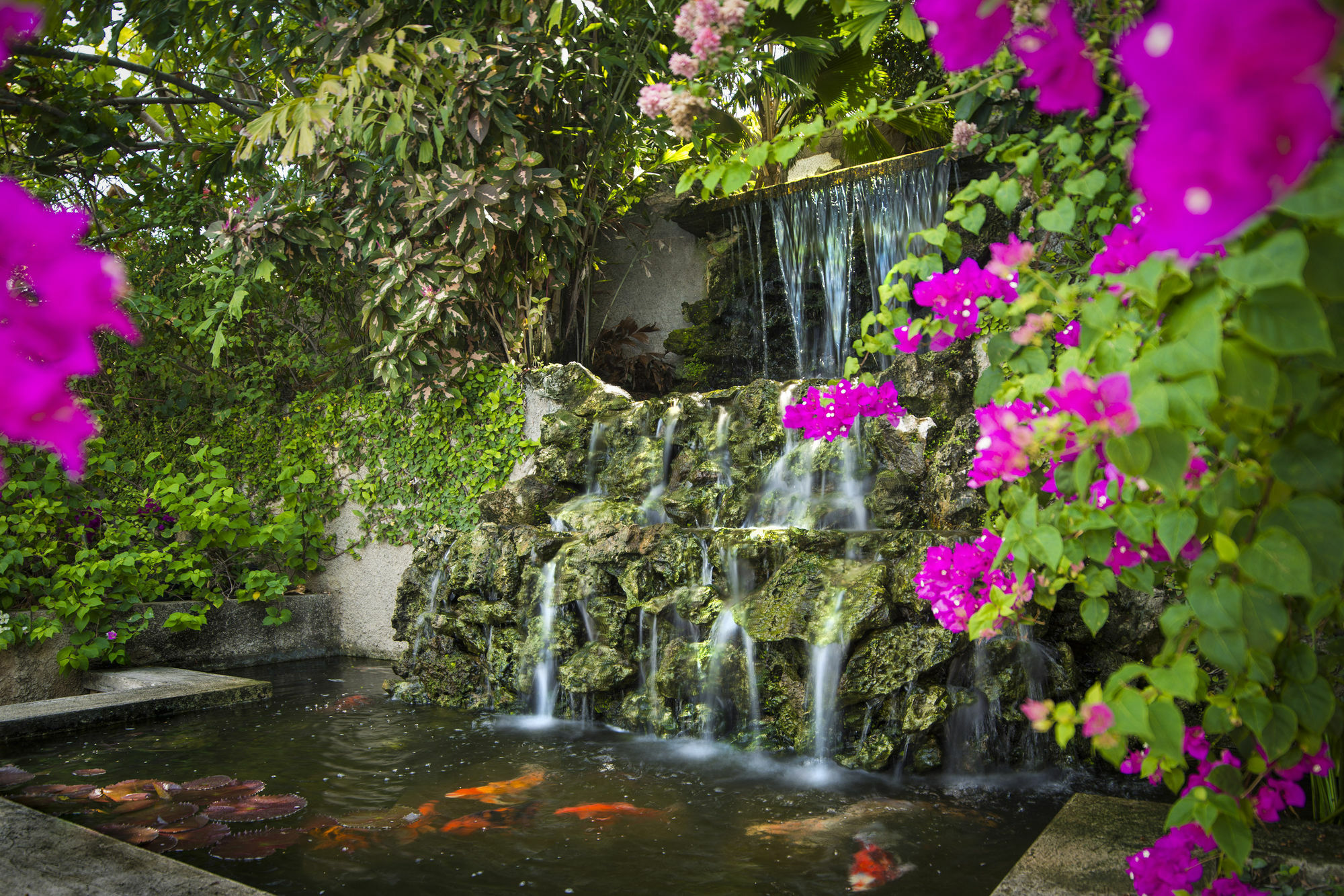 Polkerris Bed & Breakfast Μοντέγκο Μπέυ Εξωτερικό φωτογραφία